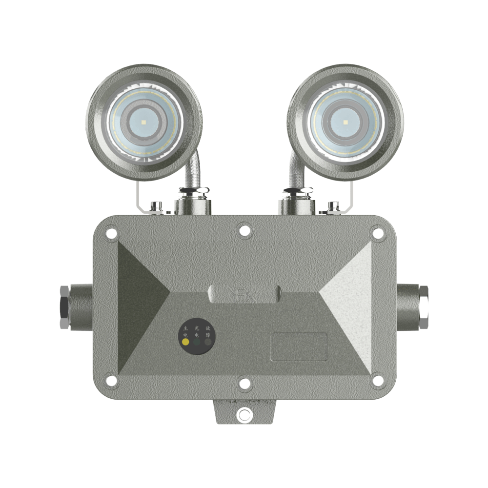 GCD8190/LED防爆應急燈/指示燈